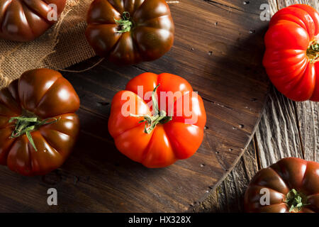 Rohe organische rot- und Brauntöne Heirloom Tomaten frisch vom Weinstock Stockfoto