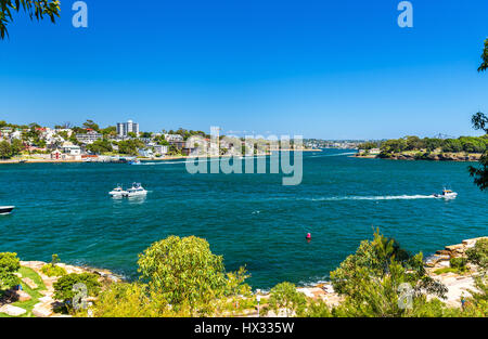 Yachten im Hafen von Sydney von Barangaroo Reserve Park aus gesehen Stockfoto