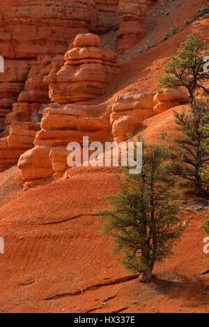 Felsvorsprung mit Pinyon Kiefern auf Cassidy Trail im Red Canyon, Dixie National Forest, Utah Highway 12 Scenic Byway Stockfoto
