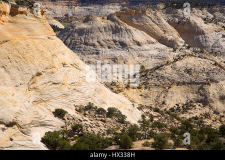 Highway 12 National Scenic Byway, Calf Creek Canyon Grand Staircase - Escalante National Monument in Utah Stockfoto