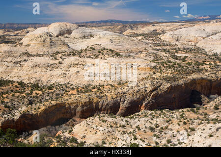 Highway 12 National Scenic Byway, Calf Creek Canyon Grand Staircase - Escalante National Monument in Utah Stockfoto