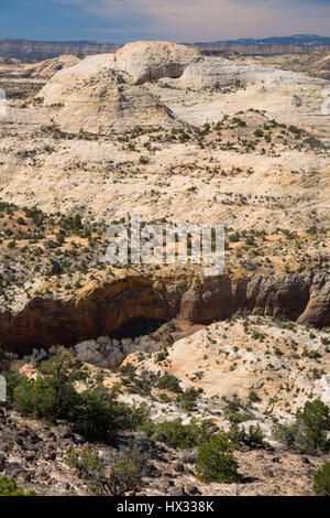 Highway 12 National Scenic Byway, Calf Creek Canyon Grand Staircase - Escalante National Monument in Utah Stockfoto