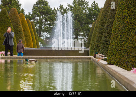 Familie von Touristen im Keukenhof Park schauen Sie sich die Enten Stockfoto