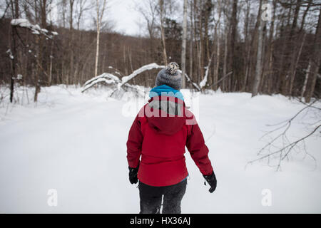 Eine Dame in einer roten Jacke Schneeschuhen im Wald nach einem Schneesturm in Hastings Hochland, Ontario, Kanada. Stockfoto