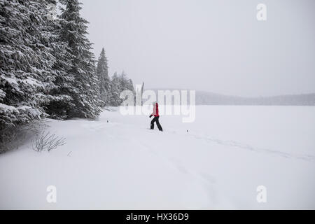 Eine Dame in einer roten Jacke Schneeschuhen nach einem Schneesturm in Hastings Hochland, Ontario, Kanada. Stockfoto