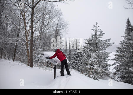 Eine Dame in einer roten Jacke löscht Schnee von den Sonnenkollektoren nach einem Schneesturm in Hastings Hochland, Ontario, Kanada. Stockfoto