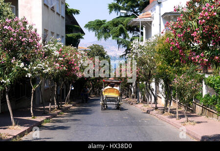 Buyukada street scene, Türkei Stockfoto