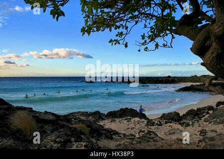 Surfer am Strand von Hawaii Stockfoto