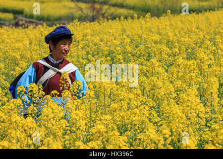 ShiGu, China - 17. März 2017: NaXi Frau gekleidet mit traditionellen Minderheit Kleidung in einer Raps-Blüte in der Nähe von ShiGu Dorf an der ersten Biegung der den Ya Stockfoto