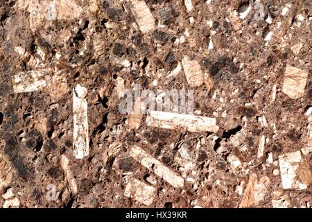 Ein Block von verwitterten roten Granit, zeigen große Kristalle von Feldspat, dunklen Hornblenden, leichte Quarz und Glimmer. Stockfoto