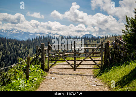 Alpen und alpinen Landschaft am Mühlbach am Hochkönig im Sommer Österreich Europa Stockfoto