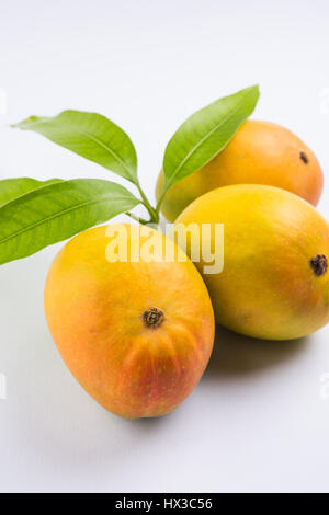 König der Früchte; Alphonso gelbe Mango Frucht Duo mit Stielen und grünen Blättern isolierten auf weißen Hintergrund, ein Produkt der Konkan aus Maharashtra - Indien Stockfoto