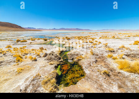 Bunte Sprudel mit Ablagerungen von Mineralien und Algen auf das Hochland der Anden, Bolivien. Salz-See, Gebirge und Vulkane im Hintergrund auf Stockfoto