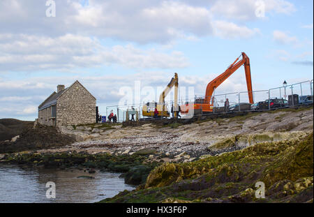 Ein paar Kraniche sitzen in Bereitschaft für die Dredgng von dem Sandboden Ballintoy Hafen an der nördlichen Küste des County Antrim in Nordirland Stockfoto