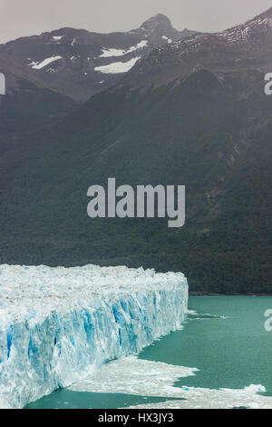 riesige Wand aus Perito-Moreno-Gletscher in Patagonien Argentinien Stockfoto