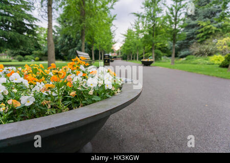 Pflanzgefäße in einem Park voller Blumen auf einem Pfad Stockfoto