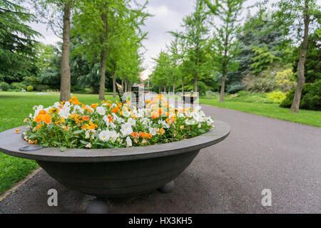 Pflanzgefäße in einem Park voller Blumen auf einem Pfad Stockfoto