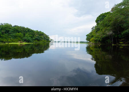 Panorama vom Amazonas-Regenwald, brasilianische Feuchtgebiet Region. Schiffbaren Lagune. Südamerika-Wahrzeichen. Amazonien Stockfoto