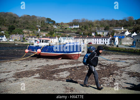 Fishguard Old Harbour, Pembrokeshire, Wales UK, Freitag, 24. März 2017 UK Wetter: strahlender Sonnenschein und strahlend blauem Himmel als Mann Spaziergänge entlang der Küste im alten Hafen von Fishguard, Pembrokeshire Wales Photo Credit: Keith Morris/Alamy Live News Stockfoto