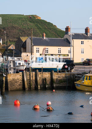 West Bay, Dorset, UK. 24. März 2017. Westbay Hafen folgt die Cloud schließlich löscht und diesig, aber sonnigen Nachmittag. Mit einem Wetter hoch folgen und wärmere Temperaturen erwartet an diesem Wochenende. © Dan Tucker/Alamy Live-Nachrichten Stockfoto