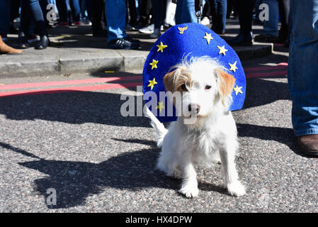 London, UK. 25. März 2017. Ein Hund auf dem Marsch für Europa in der Park Lane, als Demonstranten versammelten sich vor die März begann. Tausende marschierten vom Park Lane, Parliament Square gegen Austritt und der Europäischen Union zu unterstützen. Bildnachweis: Jacob Sacks-Jones/Alamy Live-Nachrichten. Stockfoto