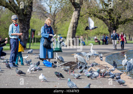 Ein junger Mann und eine Frau, die Fütterung der Tauben neben dem See zum Bootfahren in der Regents Park London England Großbritannien Stockfoto