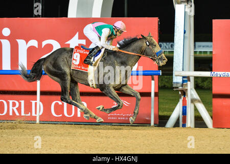 DUBAI, Vereinigte Arabische Emirate, 25. März 2017. Anmaßen, geritten von Jockey Mike Smith das Rennen von Dubai World Cup 2017 gewinnt. Trainiert in den USA von Bob Baffert, er erholte sich von einem schlechten Start gewinnt Rennen um den Titel auf der weltweit reichsten Pferderennen Nacht der Welt Kredit: Feroz Khan/Alamy Live News Stockfoto