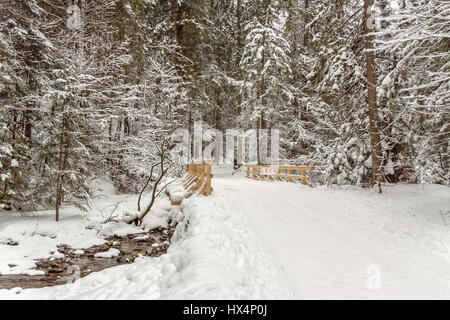 Brücke am Strazyski Bach im Strazyska-Tal in der Nähe von Zakopane, Polen Stockfoto