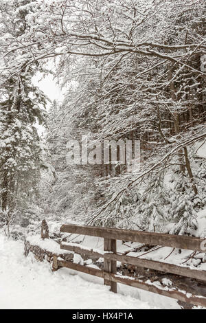 Brücke am Strazyski Bach im Strazyska-Tal in der Nähe von Zakopane, Polen Stockfoto