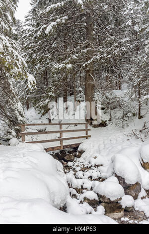 Brücke am Strazyski Bach im Strazyska-Tal in der Nähe von Zakopane, Polen Stockfoto