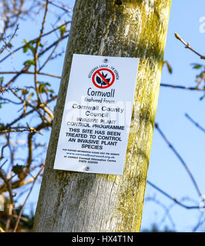 Ein Schild mit der Aufschrift Cornwall Knöterich Forum Cornwall County Council invasive Pflanze Kontrollprogramm Stockfoto