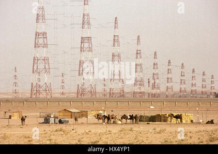 Kamele weiden auf spärliche Vegetation in der Wüste in der Nähe von massiven Elektrische übertragung Pylonen am Stadtrand von Jeddah. Stockfoto