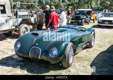 1950 s C Typ Jaguar Sportwagen auf Anzeige an einem open air Car Show, Kootingal NSW Australien. Stockfoto