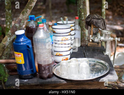 Ayahuasca Heilungszentrum in Peru Stockfoto