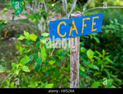 Ayahuasca Heilungszentrum in Peru Stockfoto