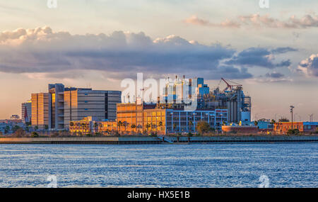 Sonnenuntergang über der Innenstadt von Gebäuden und Brücken am St. Johns River in der Innenstadt von Jacksonville, Florida. Stockfoto