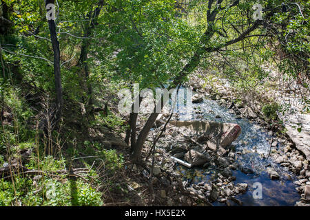 Stream wie Cesar Chavez Street in der Innenstadt von Austin, Texas zu sehen. Stockfoto