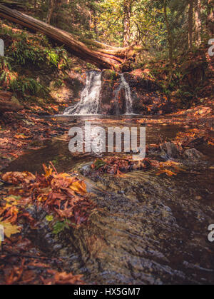 Herbst im Pazifischen Nordwesten der Vereinigten Staaten. Buntes Herbstlaub sind ein sanfter Strom mit einem Wasserfall im Hintergrund gezogen. Stockfoto