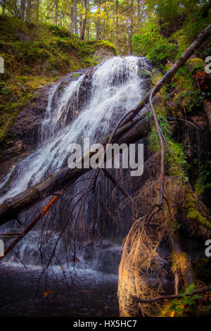 Ein schöner Wasserfall in der Anbietergruppe State Park auf Orcas Island, San Juan Islands, Washington State, USA. Stockfoto