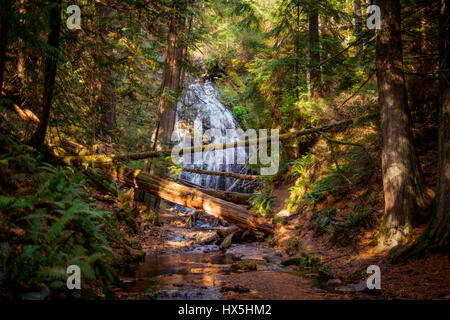 Wasserfall auf Orcas Island, San Juan County, Bundesstaat Washington, USA. Stockfoto