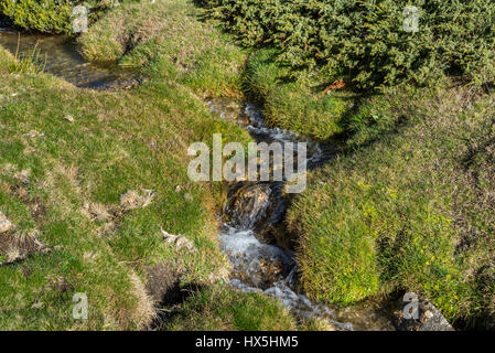 Nahaufnahme des Flusses Hornillo, ein kleiner Bach in Guadarrama Mountains National Park, Spanien Stockfoto