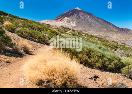 Fußweg in Richtung Pico del Teide in der Caldera von Teneriffa, Spanien. Stockfoto