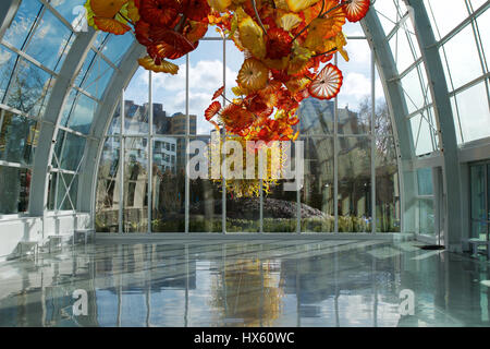 SEATTLE, WASHINGTON, USA - 24. Januar 2017: Chihuly Garten und Glas-Museum mit einer der Chihulyss größten Skulpturen von der Decke des Gewächshaus ausgesetzt. Gebäude der Stadt sind im Hintergrund zu sehen Stockfoto