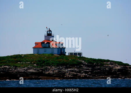 Leuchtturm im Acadia National Park in der Nähe von Bar Harbor, Maine. Stockfoto