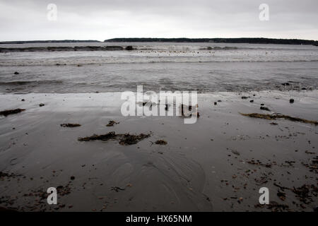 Sandstrand an einem gold, grauen Tag in der Nähe von Bar Harbor, Maine. Stockfoto