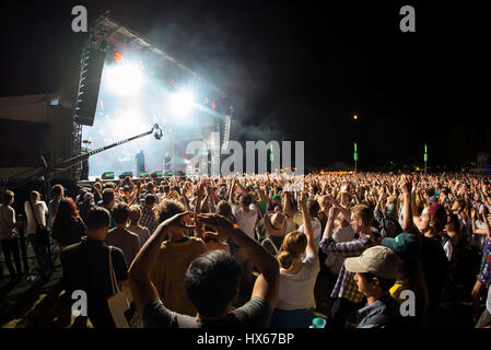 PARIS - AUG 31: Menge in einem Konzert beim Rock En Seine Festival am 31. August 2015 in Paris, Frankreich. Stockfoto