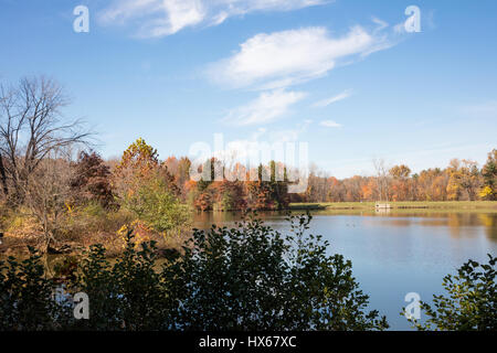 Im Herbst Saison Blatt Farben des Herbstes und See in Ohio USA Stockfoto