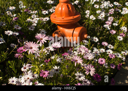 Hydranten und Blumen Stockfoto