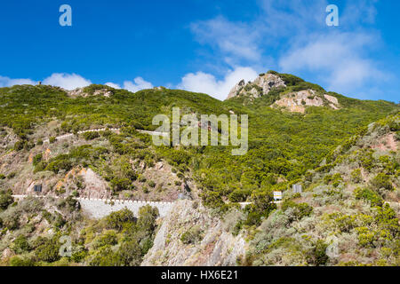 TF12-Bergstraße durch Laural Wald in der Nähe von El Bailadero in das Anaga-Gebirge. Stockfoto