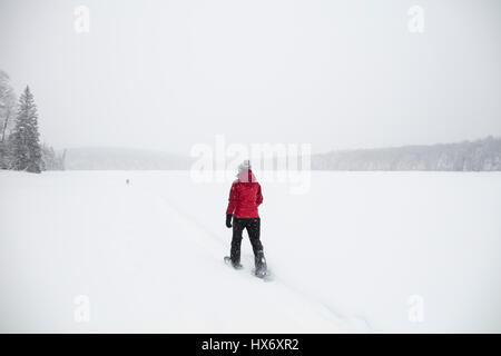 Eine Lady Schneeschuhen mit einem gelben Labrador Retriever (gelber Labrador) Hund während eines Schneesturms in Hastings Hochland, Ontario, Kanada. Stockfoto